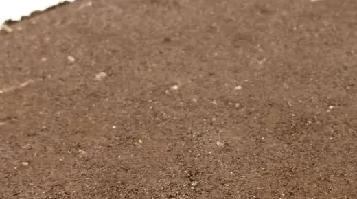 Бордюр тротуарный полноокрашенный, терракот