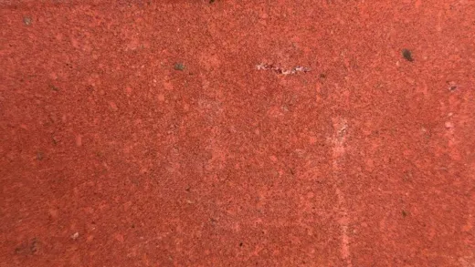 Мегаполис, коралл