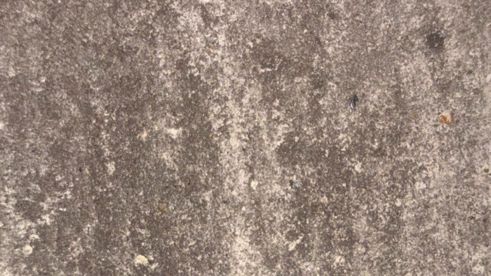 Евромикс (Б.3.Фсм.6), цвет Антик