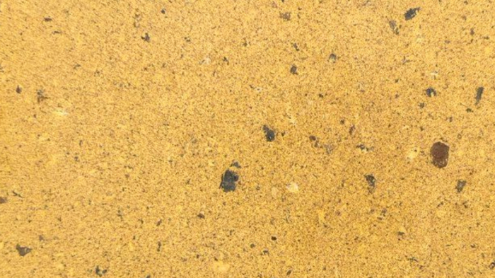 Евромикс(Б.3.Фсм.6), золотой