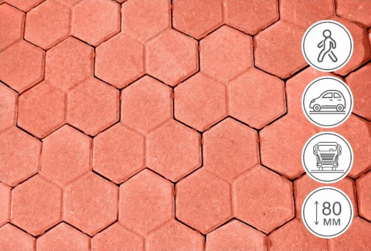 Соты, коралл