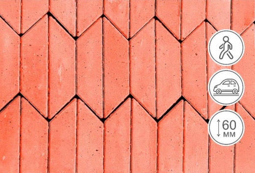 Трапеция, коралл