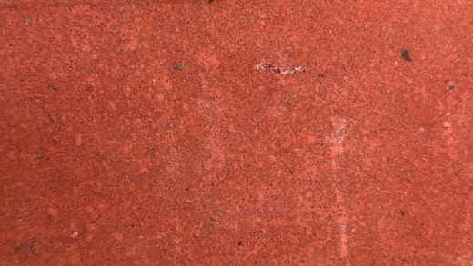 Вилла Рома, коралл