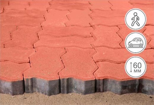 Зигзаг, коралл